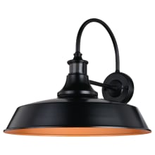 Dorado 16" Tall Outdoor Wall Sconce