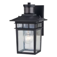 Ridge 11" Tall Outdoor Wall Sconce with Seedy Glass Shade