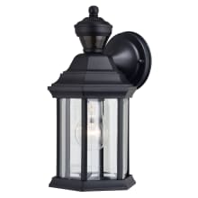Auburn 12" Tall Outdoor Wall Sconce with Clear Glass Shade