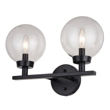 Lander 15" Wide 2 Light Vanity Light