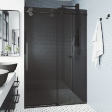 Elan 68 to 72 in. W x 74 in. H Frameless Sliding Shower Door in Stainless Steel with 3/8 in. (10 mm) Clear Glass