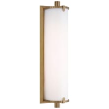 Calliope 14" Medium LED Bath Light with White Glass by Thomas O'Brien