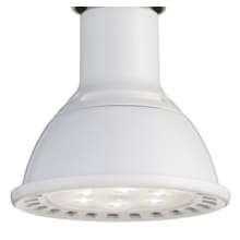 Single 13 Watt PAR30L Medium (E26) Base LED Light Bulb