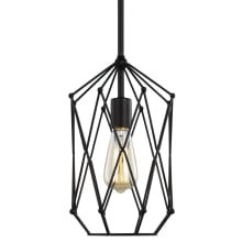 Zarra 8" Wide Cage Pendant