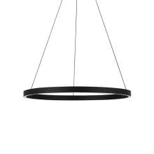 Fiama 30" Wide LED Ring Chandelier