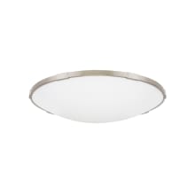Lance Convertible Single Light 23-5/16" Wide Integrated LED Flush Mount Ceiling Fixture / Wall Sconce with a Frosted Glass Shade - 277V