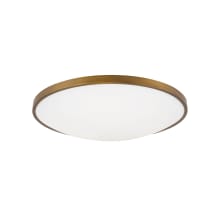 Vance Convertible 18" Wide Integrated LED Flush Mount Ceiling Fixture / Wall Sconce with a Frosted Glass Shade