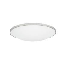 Vance Convertible 24" Wide Integrated LED Flush Mount Ceiling Fixture / Wall Sconce with a Frosted Glass Shade - 277V