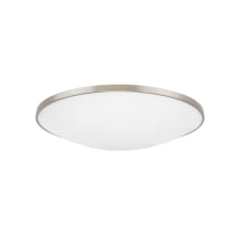 Vance Convertible 24" Wide Integrated LED Flush Mount Ceiling Fixture / Wall Sconce with a Frosted Glass Shade