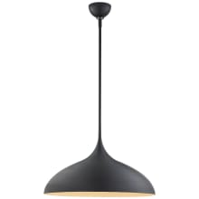 Agnes 21" Large Pendant Light by AERIN