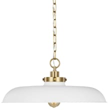 Wellfleet 20" Wide Pendant