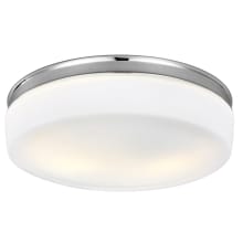 Issen 2 Light 14" Wide Flush Mount Ceiling Fixture