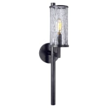 Liaison 19" High Wall Sconce with Crackle Glass Shade