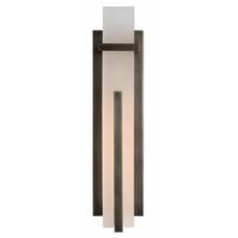 Malik 19" Tall LED Wall Sconce