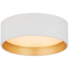 Shaw 5" Wide LED Flush Mount Drum Ceiling Fixture