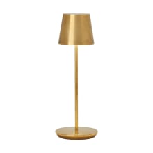 Nevis 15" Tall Portable Rechargeable LED Accent Table Lamp