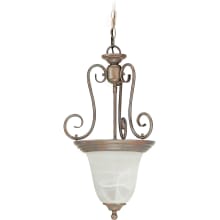 Troy Single Light 14" Wide Pendant