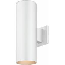 2 Light 14" Tall Outdoor Wall Sconce