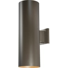 2 Light 18" Tall Outdoor Wall Sconce