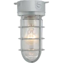 Single Light 10" Tall Outdoor Ceiling / Wall Sconce