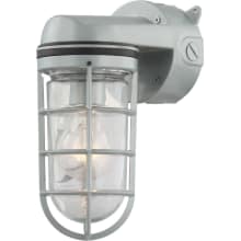 Single Light 10" Tall Outdoor Wall Sconce