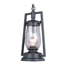 Single Light 9" Wide Outdoor Mini Pendant with Twisted Clear Glass