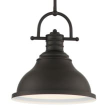 Single Light 12" Wide Pendant