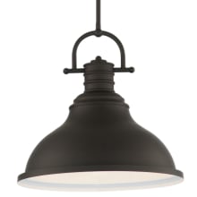 Single Light 16" Wide Pendant