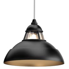 Single Light 14" Wide Pendant