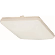 Single Light 12" Wide Flush Mount Square Ceiling Fixture / Wall Sconce