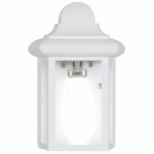 Single Light 9" Tall Outdoor Wall Sconce