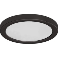 Single Light 10" Wide Integrated LED Flush Mount Ceiling Fixture / Wall Sconce