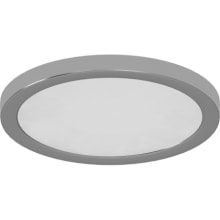 Single Light 12" Wide Integrated LED Flush Mount Ceiling Fixture / Wall Sconce