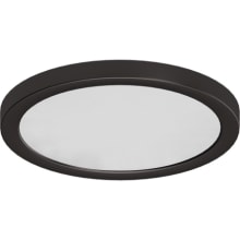 Single Light 12" Wide Integrated LED Flush Mount Ceiling Fixture / Wall Sconce