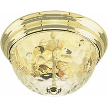 2 Light 13" Wide Flush Mount Bowl Ceiling Fixture with Hammered Glass