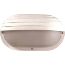Single Light 6" Tall Outdoor Wall Sconce with Hood Cover