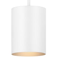 Single Light 5" Wide Outdoor Mini Pendant