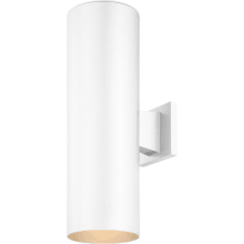 2 Light 18" Tall LED Outdoor Wall Sconce