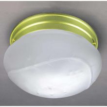2 Light Flush Mount Ceiling Fixture with Frosted Glass Globe Shade