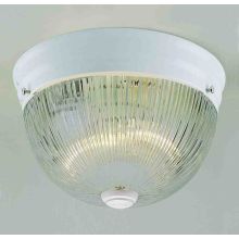 2 Light Flush Mount Ceiling Fixture with Clear Ribbed Glass Dome Shade