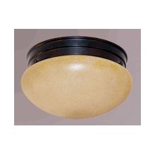 Troy 2 Light 9.5" Flush Mount Ceiling Fixture with Sandstone Glass Shade