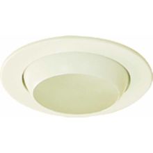 4" Recessed Trim with Eyeball with 50 Watt Non-IC Lamping