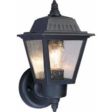 1 Light 10.5" Height Outdoor Wall Sconce with Clear Seedy Glass