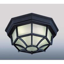 1 Light Flush Mount Outdoor Ceiling Fixture with Frost Glass Shade