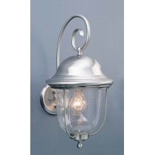 1 Light 19" Height Outdoor Wall Sconce with Clear Seedy Glass