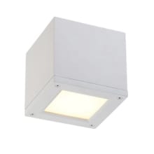 Rubix 5" Wide Indoor/Outdoor LED Flush Mount Ceiling Fixture / Wall Light
