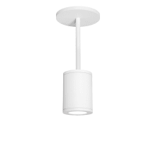 Tube Single Light 4-15/16" Wide Integrated LED Outdoor Mini Pendant with 18° Beam Spread