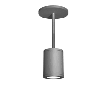 Tube Single Light 4-15/16" Wide Integrated LED Outdoor Mini Pendant with 18° Beam Spread
