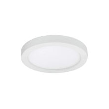 Round 5" Wide LED Indoor / Outdoor Flush Mount Ceiling Fixture / Wall Sconce