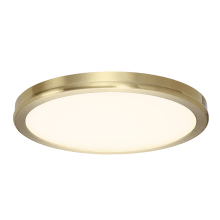 Geos Single Light 10" Wide Integrated LED Flush Mount Ceiling Fixture / Wall Light with a Frosted Acrylic Shade